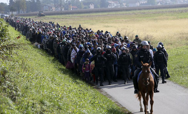 شرایط افراد متقاضی در مهاجرت به آلمان از طریق پناهندگی